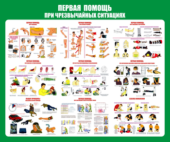 С20-1 Стенд Оказание первой помощи при ЧС (670х800 мм, пластик ПВХ 3 мм, алюминиевый багет серебряного цвета) - Стенды - Стенды по первой медицинской помощи - магазин "Охрана труда и Техника безопасности"